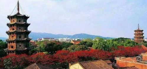 江西到福建正在修建的一条铁路,全场495公里,其中经过你家吗