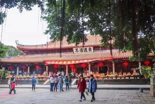真羡慕你们可以来泉州读大学