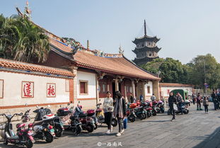 福建旅游热度最高的城市,游客远不如泉州多,内中藏奥妙