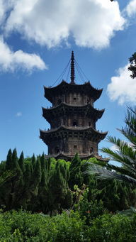 阅尽繁华,终归平淡 泉州开元寺 老街 府文庙
