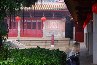 好雨时节,在泉州府文庙邂逅一场春雨