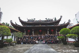 三年,泉州府已成为一种生活习惯,一个文化传播的符号