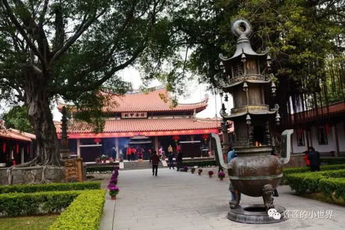 刺桐史迹初相见 泉州老城