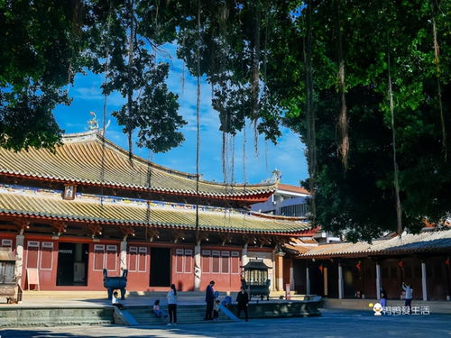 跟着世遗名录游泉州之府文庙 中国东南现存规模最大孔庙古建筑群