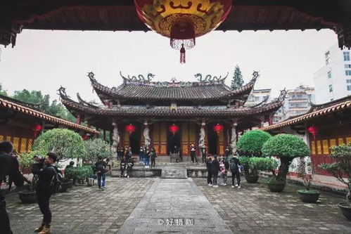 探寻乡愁之根∣137人一同徒步永春,用脚步穿梭在永春的大街小巷,感受古老永春的浑厚历史