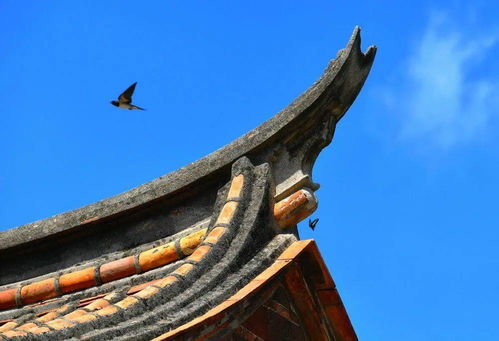 福建泉州 千年古城的 多面 生活