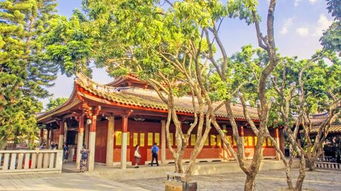 泉州大开元寺 洛阳桥 泉州府文庙 天后宫纯玩一日游