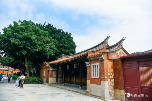 泉州文庙 中国东南现存规模最大的孔庙古建筑群