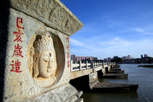 石语海丝，庙忆泉州 洛阳桥与府文庙的历史回响